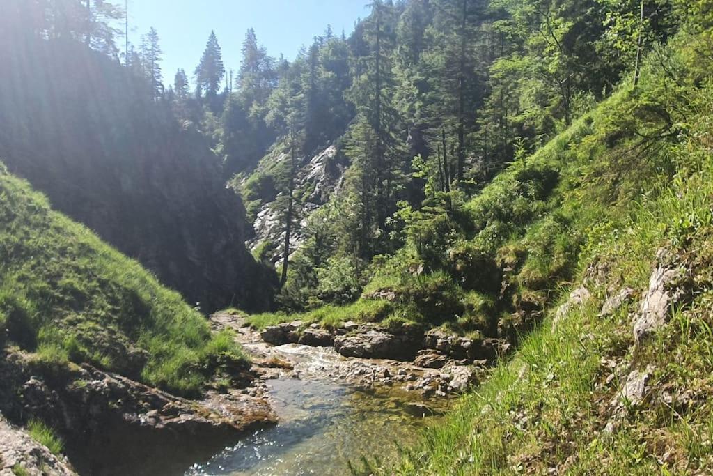 Romantisches Alpenchalet - Mit Sauna Und Kamin - Ruhig Und Zentral Bad Tölz Eksteriør billede