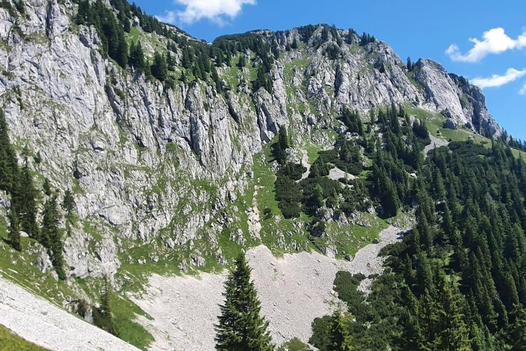 Romantisches Alpenchalet - Mit Sauna Und Kamin - Ruhig Und Zentral Bad Tölz Eksteriør billede
